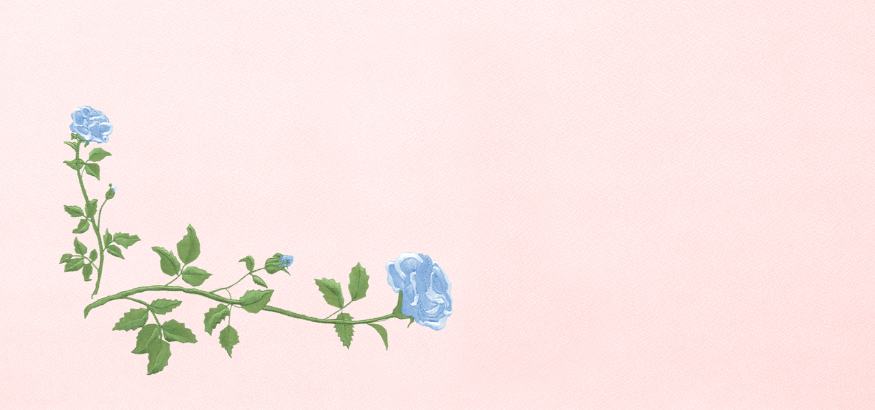 P 501 BL PK Corner Rose Blue Pink Faux